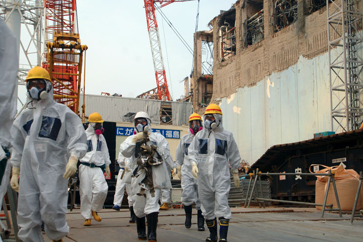Scientist Studying the Fukushima Toxicity Intentions Questioned