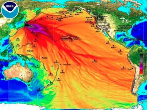 Fukoshima Radiation Pacific Ocean